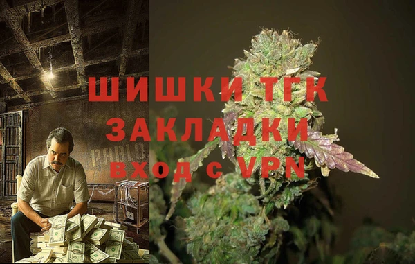 индика Богданович