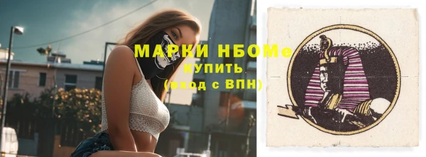 индика Богданович