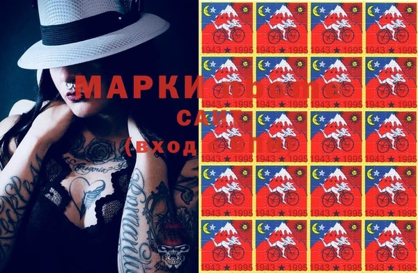 индика Богданович