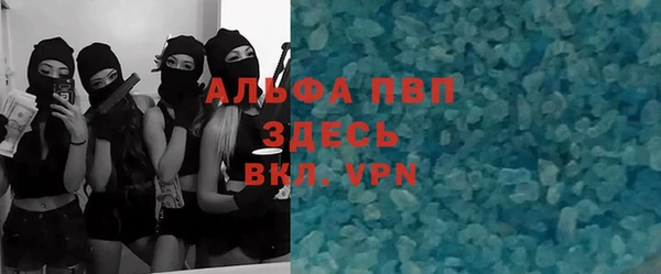 индика Богданович