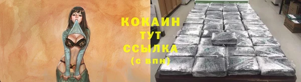 индика Богданович