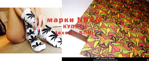 индика Богданович