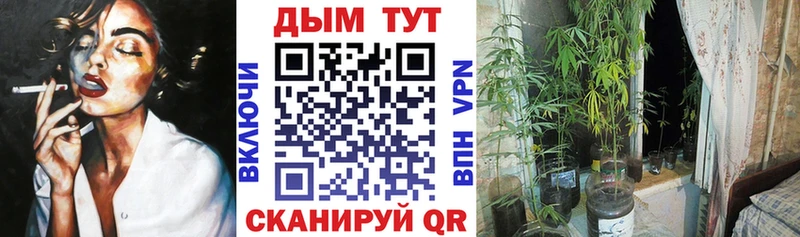 Бошки марихуана семена Валуйки